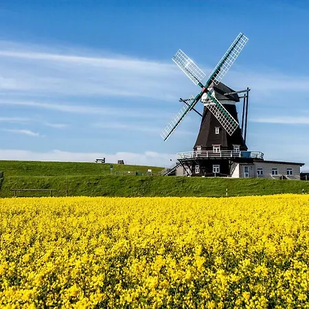 Gud Jard Nr 30 - Design-ferienhaus Mit Exklusiver Ausstattung Pellworm