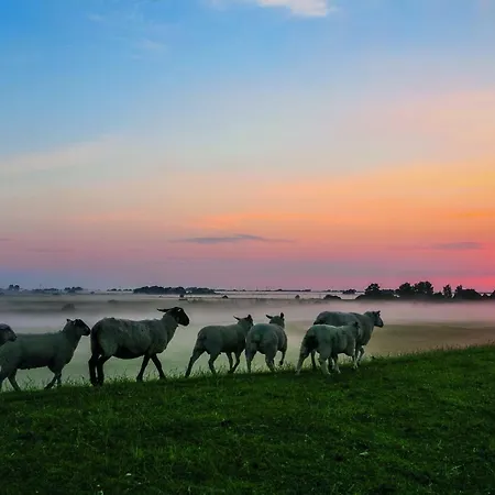 Gud Jard Nr 30 - Design-ferienhaus Mit Exklusiver Ausstattung
