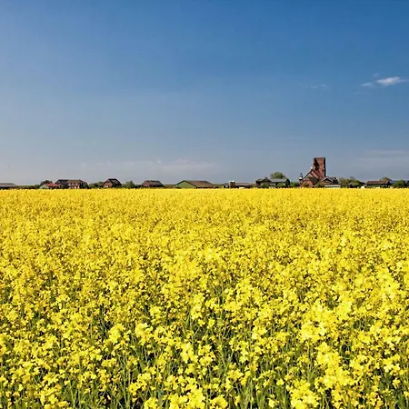 Dom wakacyjny Gud Jard Nr 30 - Design-ferienhaus Mit Exklusiver Ausstattung *
